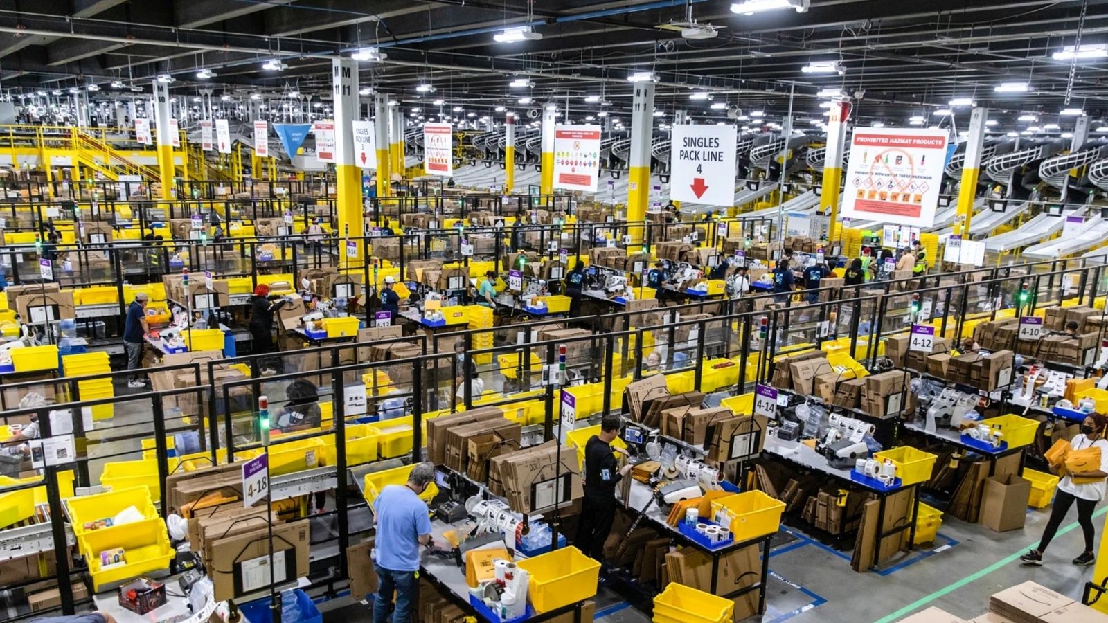 amazon