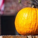 Toque de queda en Halloween en Carolina del Sur: horarios y personas afectadas